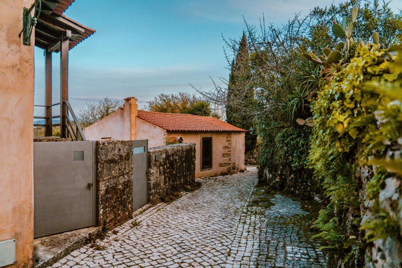 Villa Pedra Natural Houses Alvorge エクステリア 写真