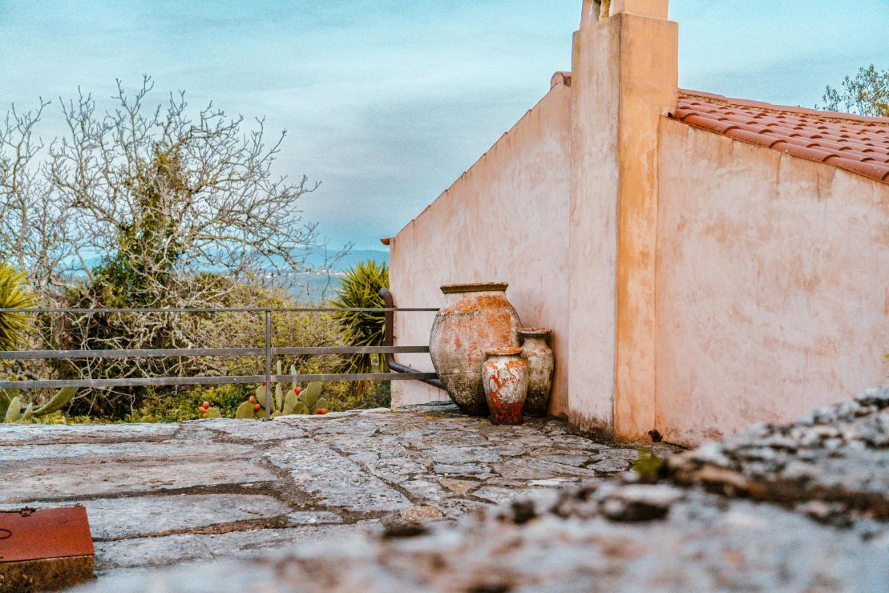 Villa Pedra Natural Houses Alvorge エクステリア 写真