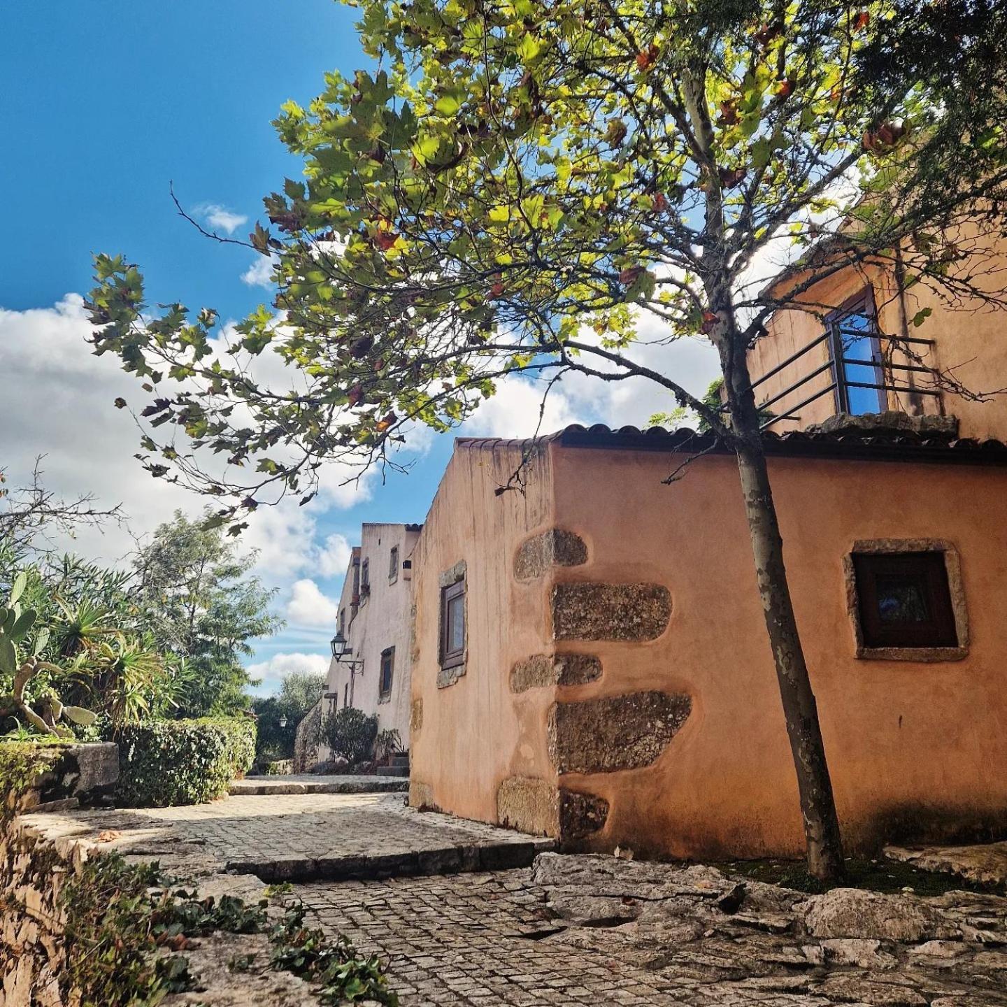 Villa Pedra Natural Houses Alvorge エクステリア 写真